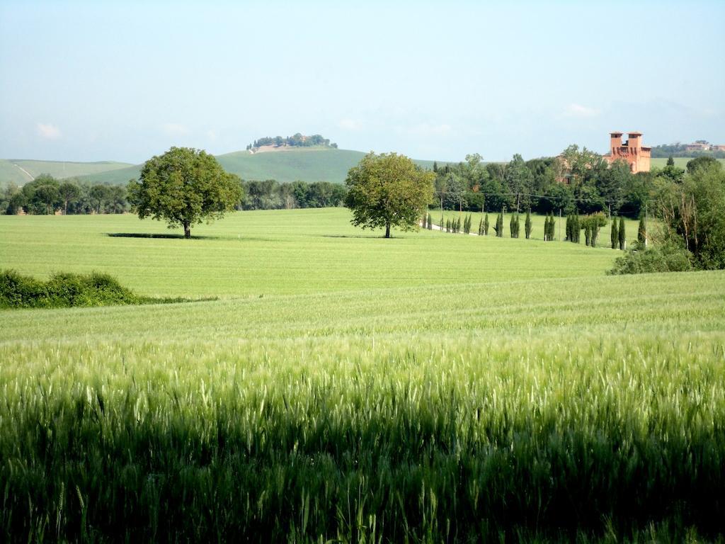Castello Di San Fabiano Konuk evi Monteroni dʼArbia Dış mekan fotoğraf