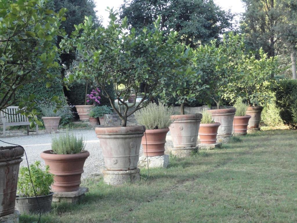 Castello Di San Fabiano Konuk evi Monteroni dʼArbia Dış mekan fotoğraf